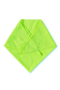 Bandanna Apple Green